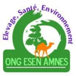Logo AMNES